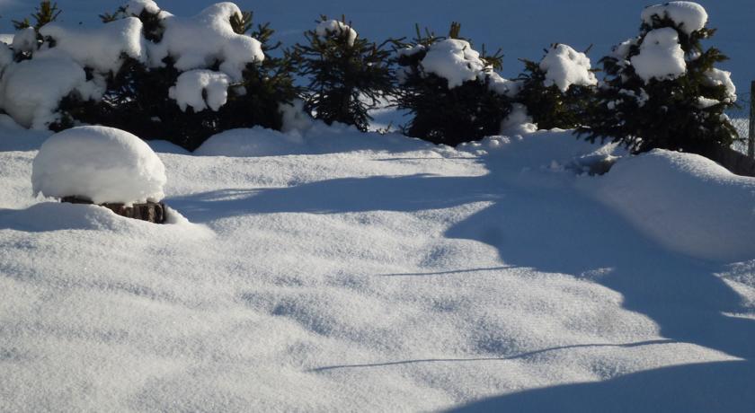 Cedepuent De Sot Apartman Selva di Val Gardena Szoba fotó