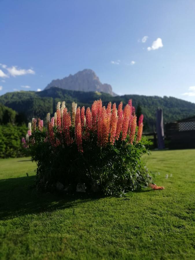 Cedepuent De Sot Apartman Selva di Val Gardena Kültér fotó